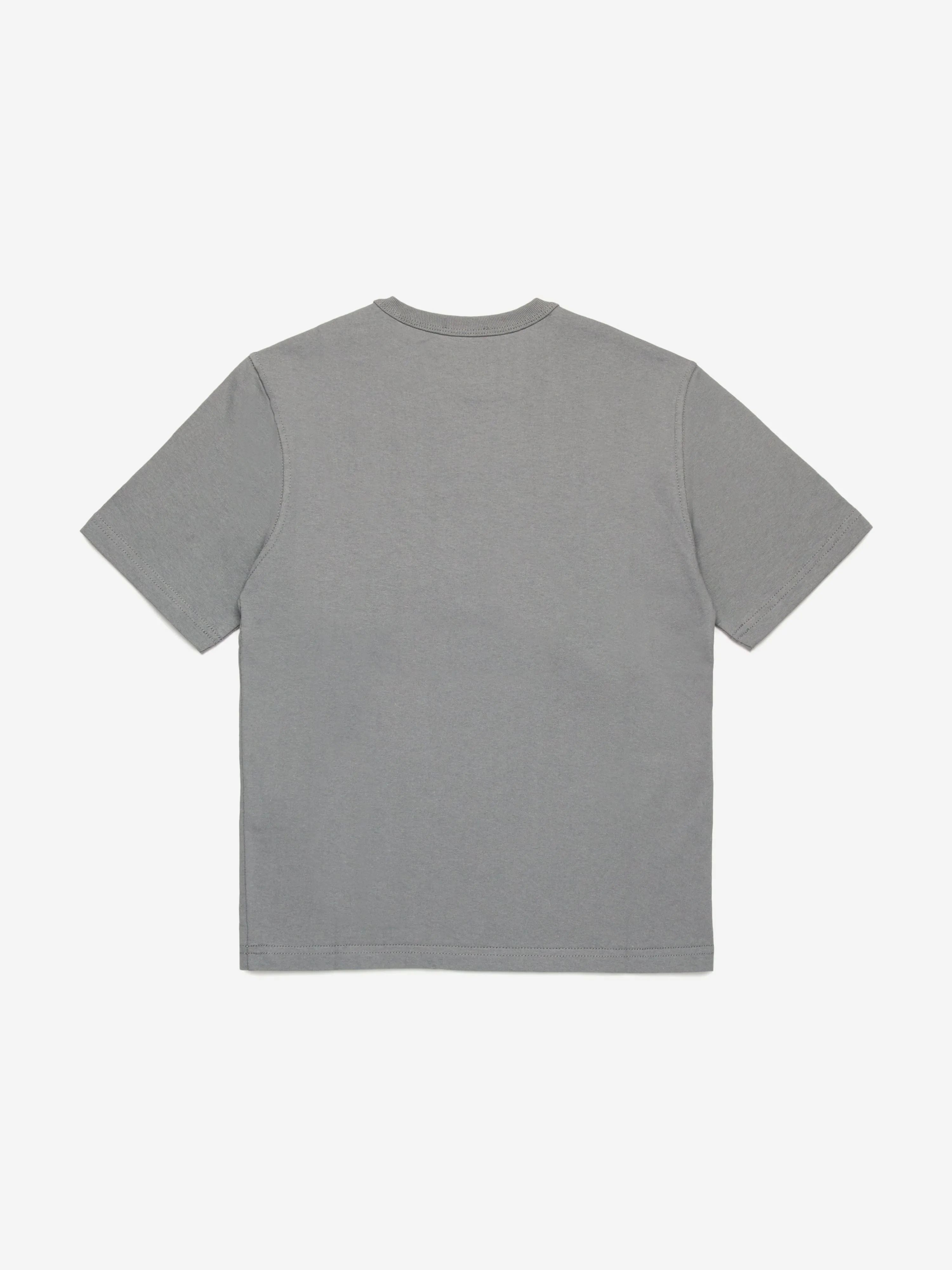 Boys Logo T-Shirt in Grey