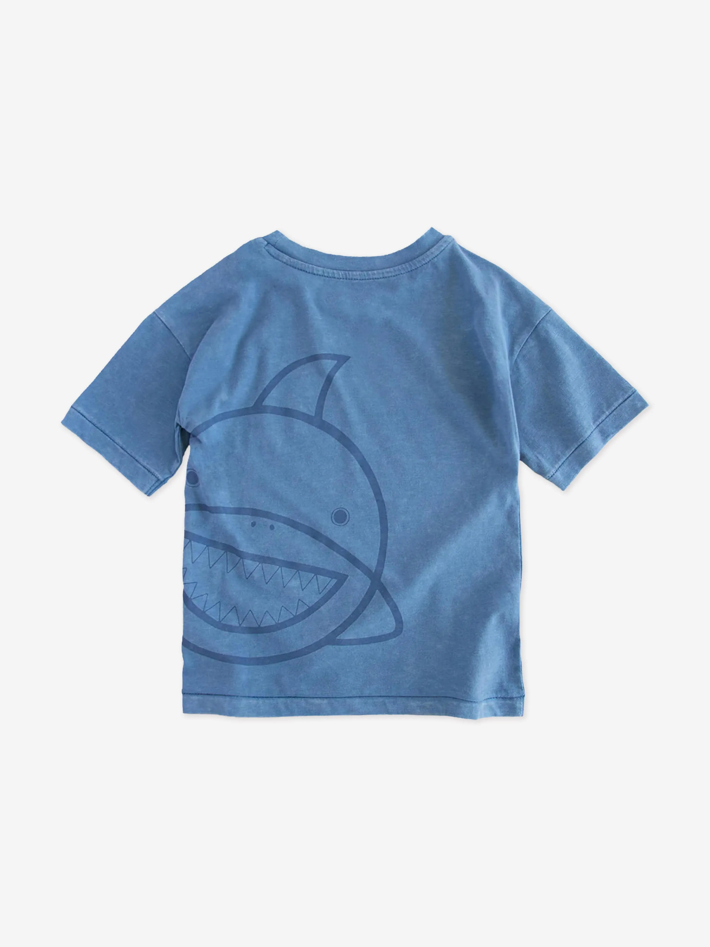 Boys Reef The Shark Adventure Club T-Shirt in Blue