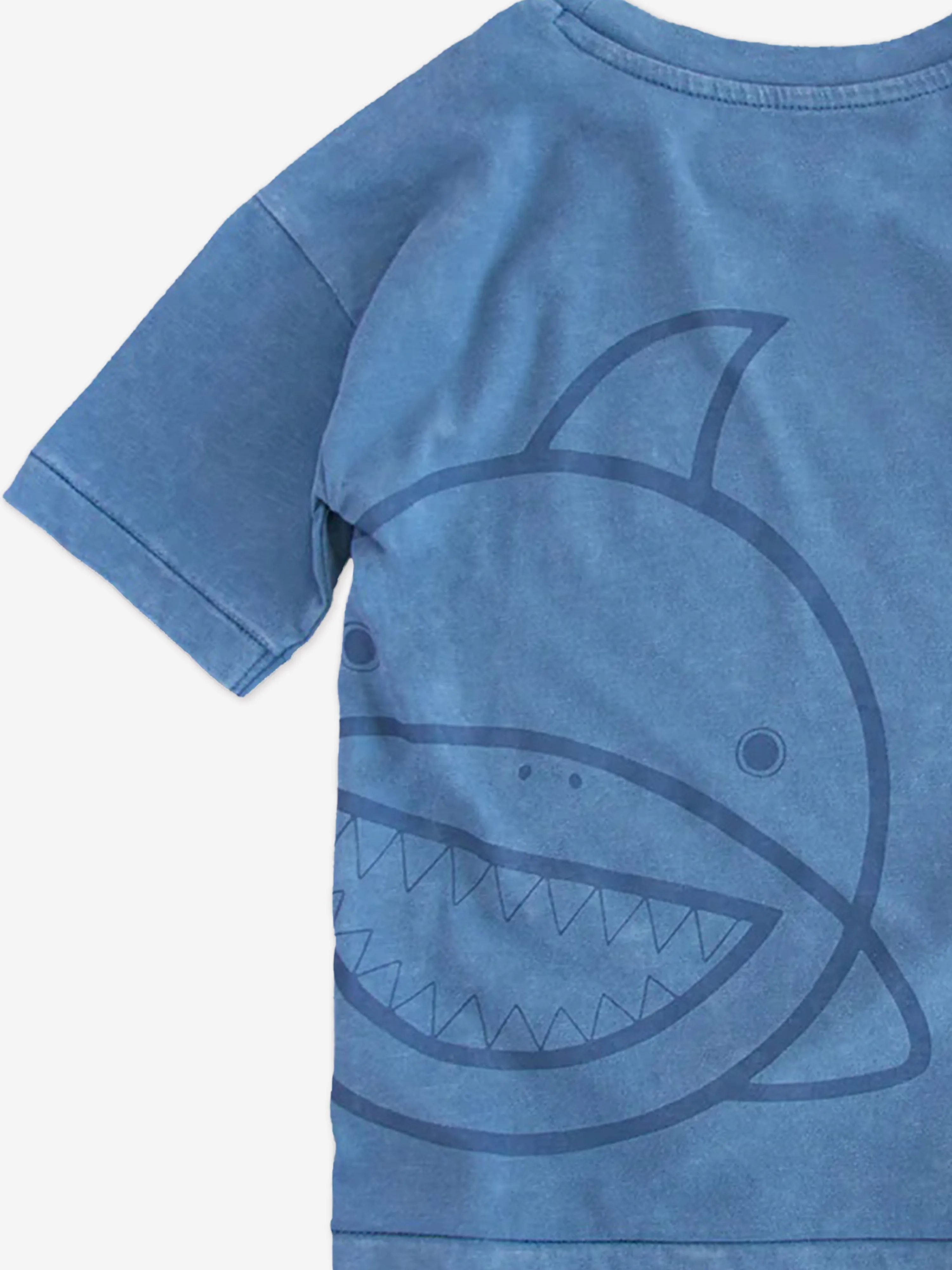 Boys Reef The Shark Adventure Club T-Shirt in Blue