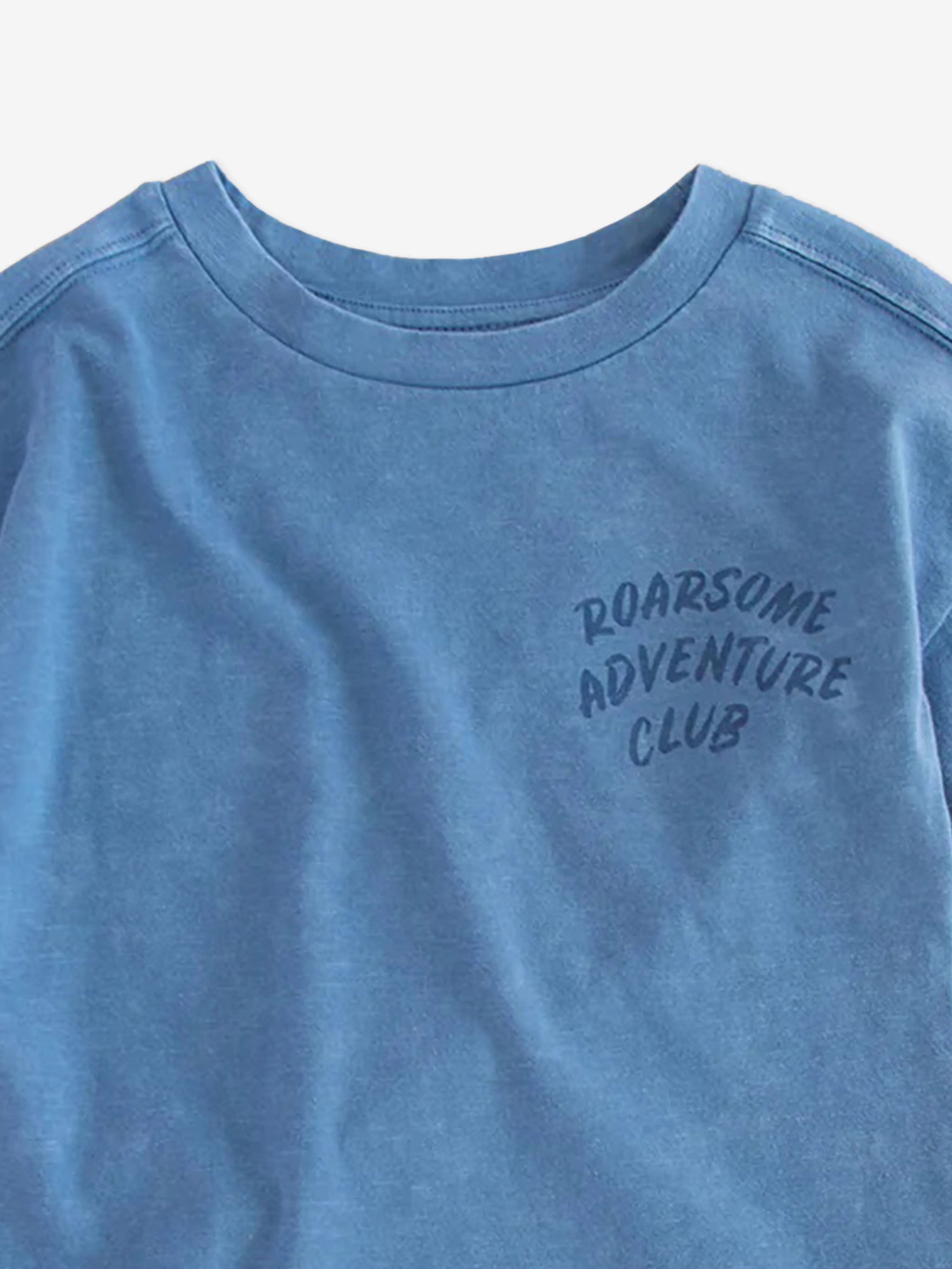 Boys Reef The Shark Adventure Club T-Shirt in Blue