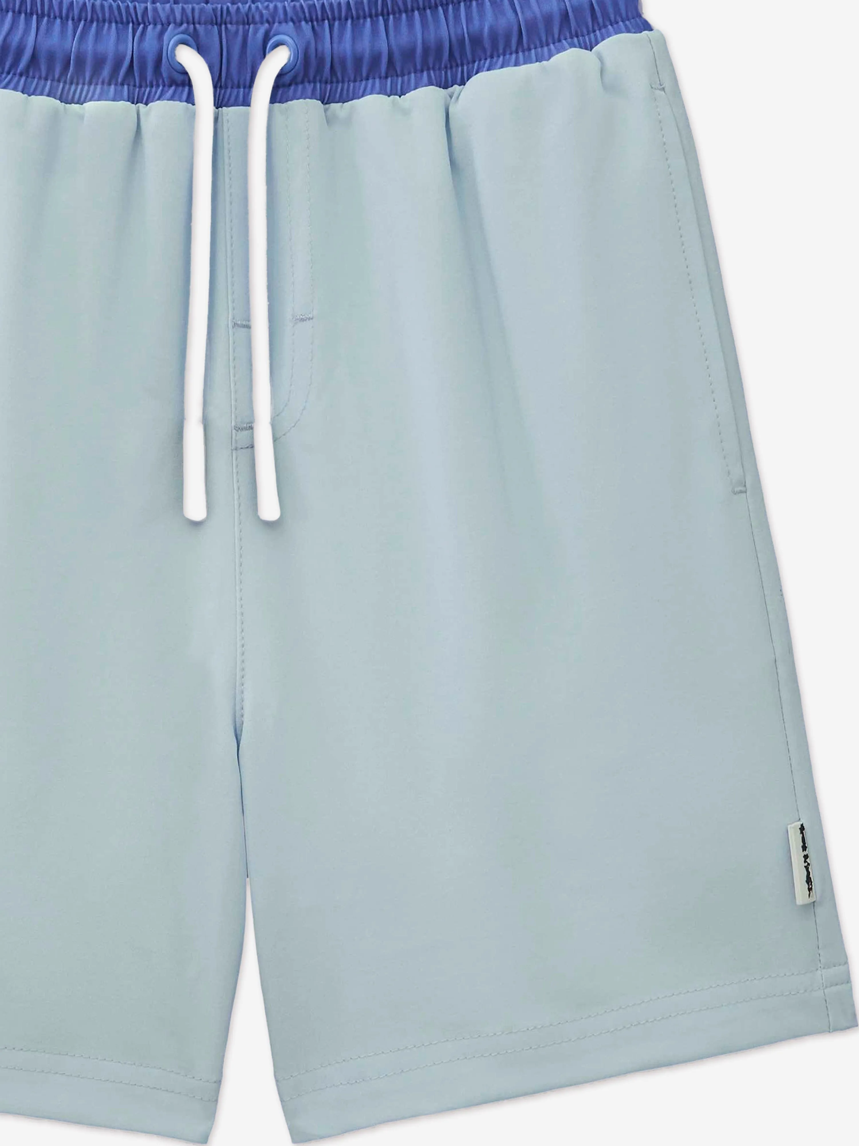 Boys Reef The Shark Swim Shorts in Blue (UPF50 )