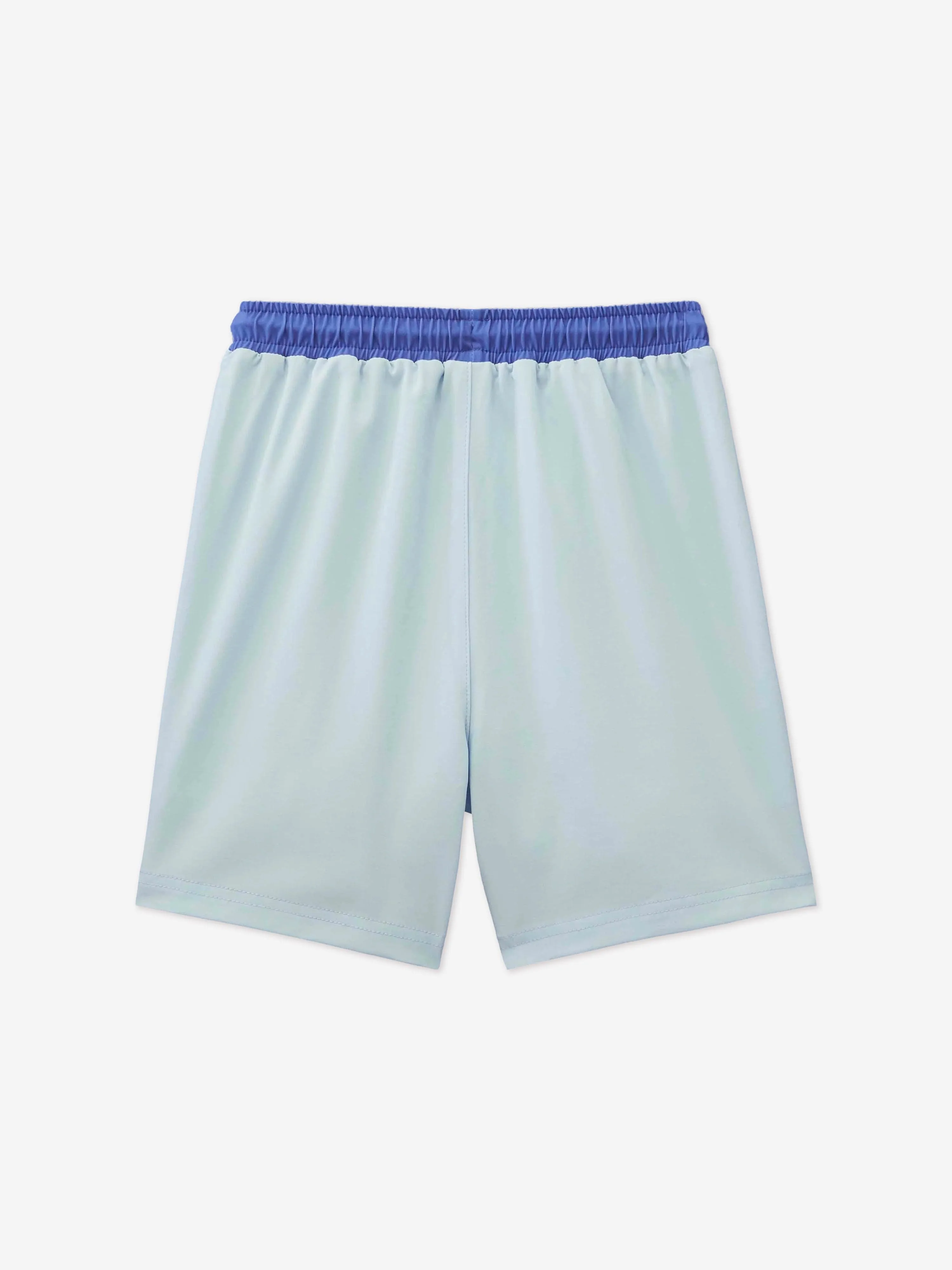 Boys Reef The Shark Swim Shorts in Blue (UPF50 )