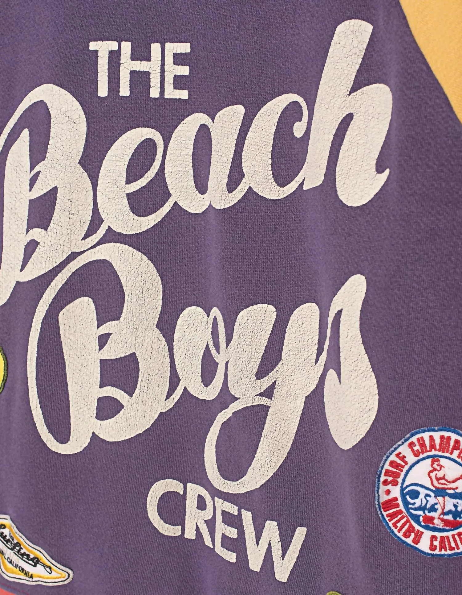 Classic Sweatshirt In Beach Boys
