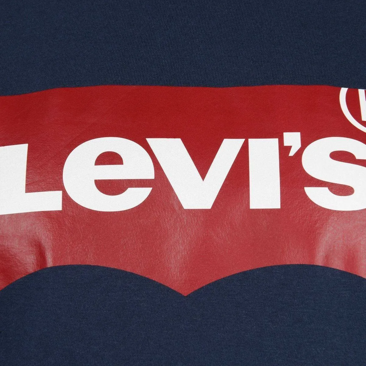 Levi's Boys Cotton Short Sleeve Batwing Logo T-Shirt