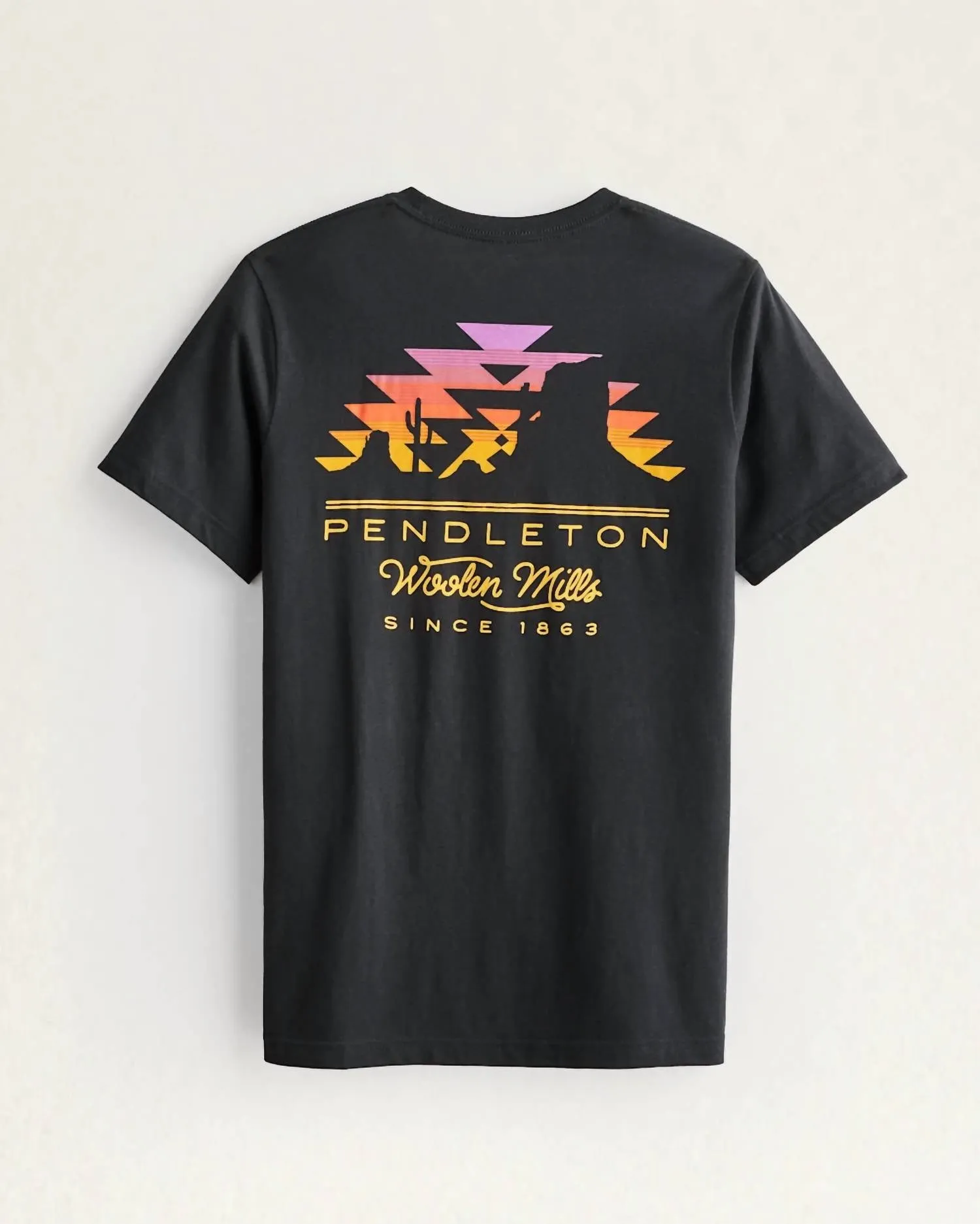 Men's Desert Sunset Graphic Tee In Vintage Black/multi