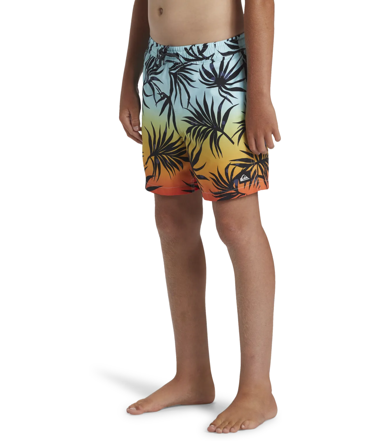 Quiksilver Clothing Boys Everyday Mix Volley Shorts in High Risk Red