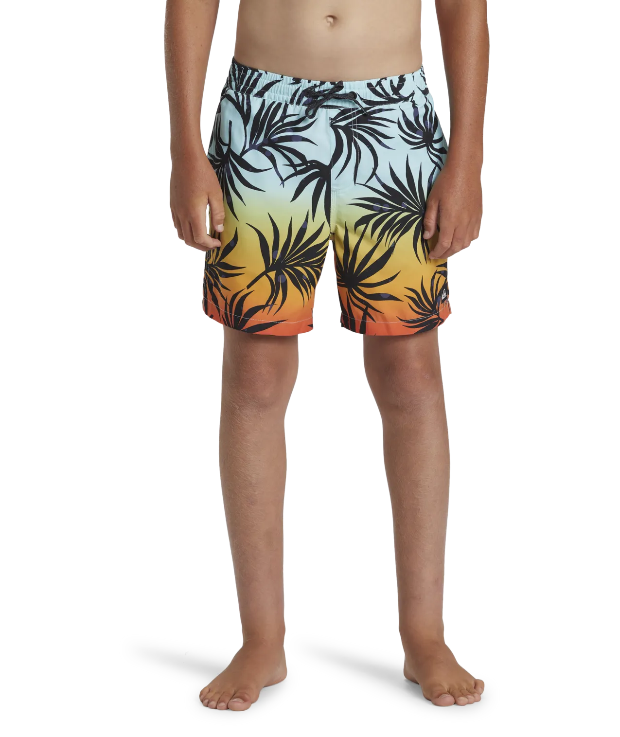 Quiksilver Clothing Boys Everyday Mix Volley Shorts in High Risk Red
