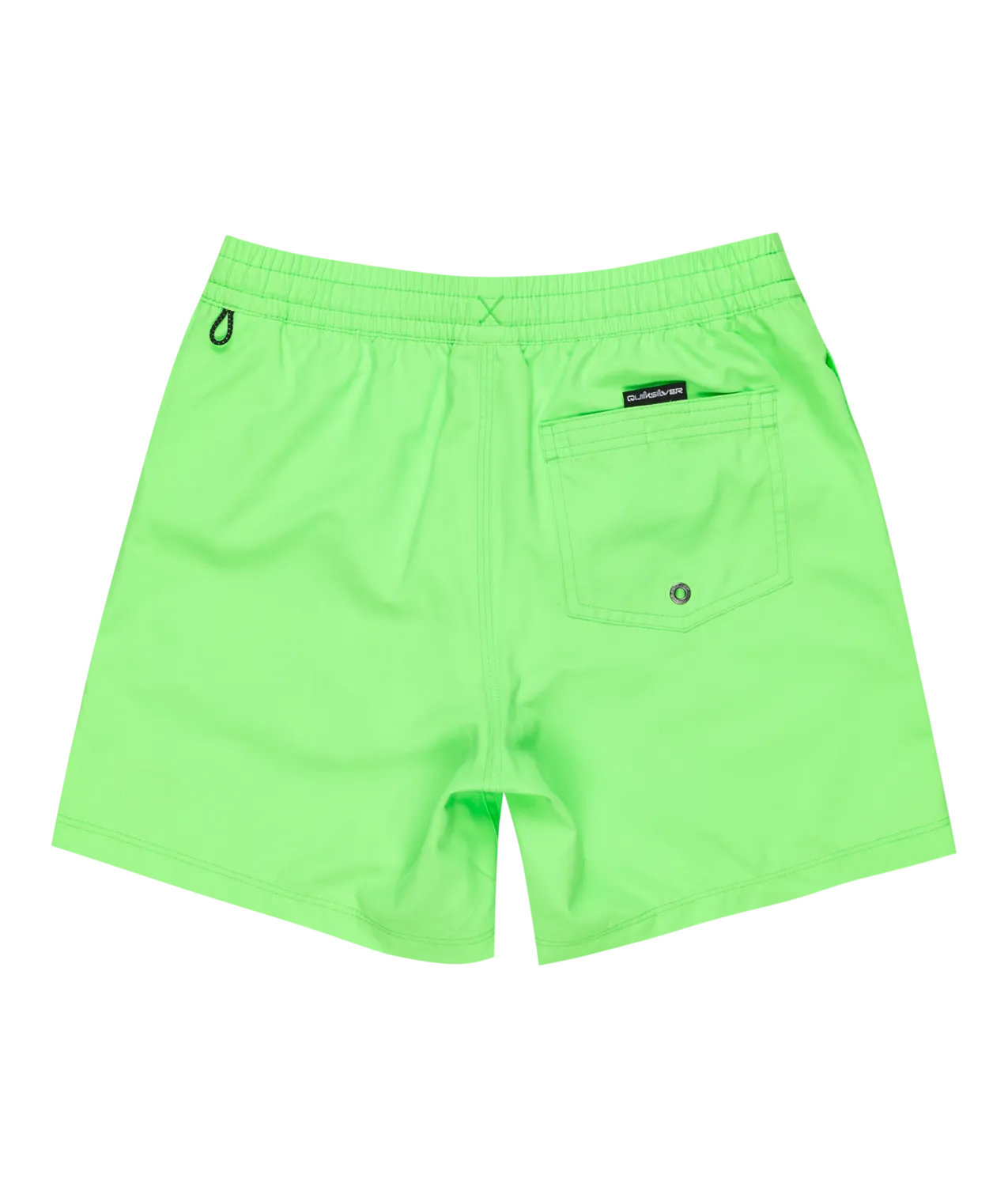Quiksilver Clothing Boys Everyday Solid Volley Shorts in Green Gecko