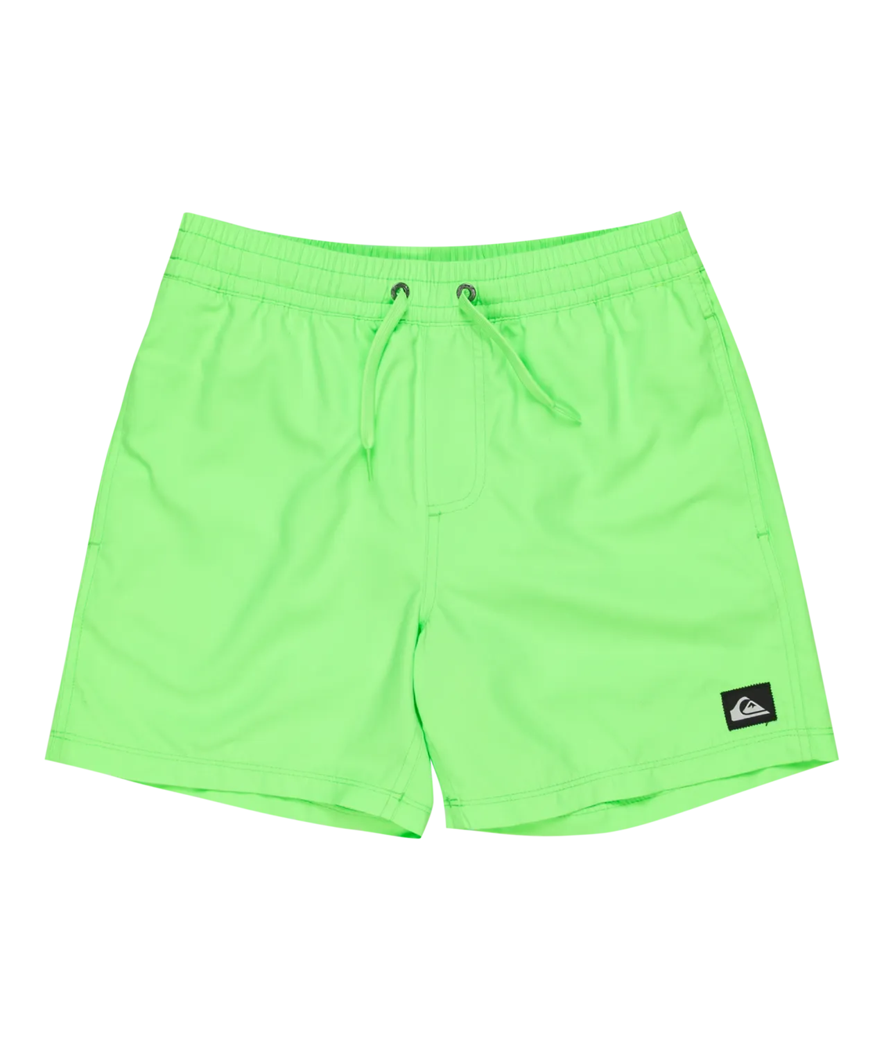 Quiksilver Clothing Boys Everyday Solid Volley Shorts in Green Gecko