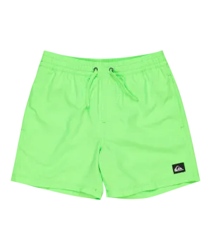 Quiksilver Clothing Boys Everyday Solid Volley Shorts in Green Gecko