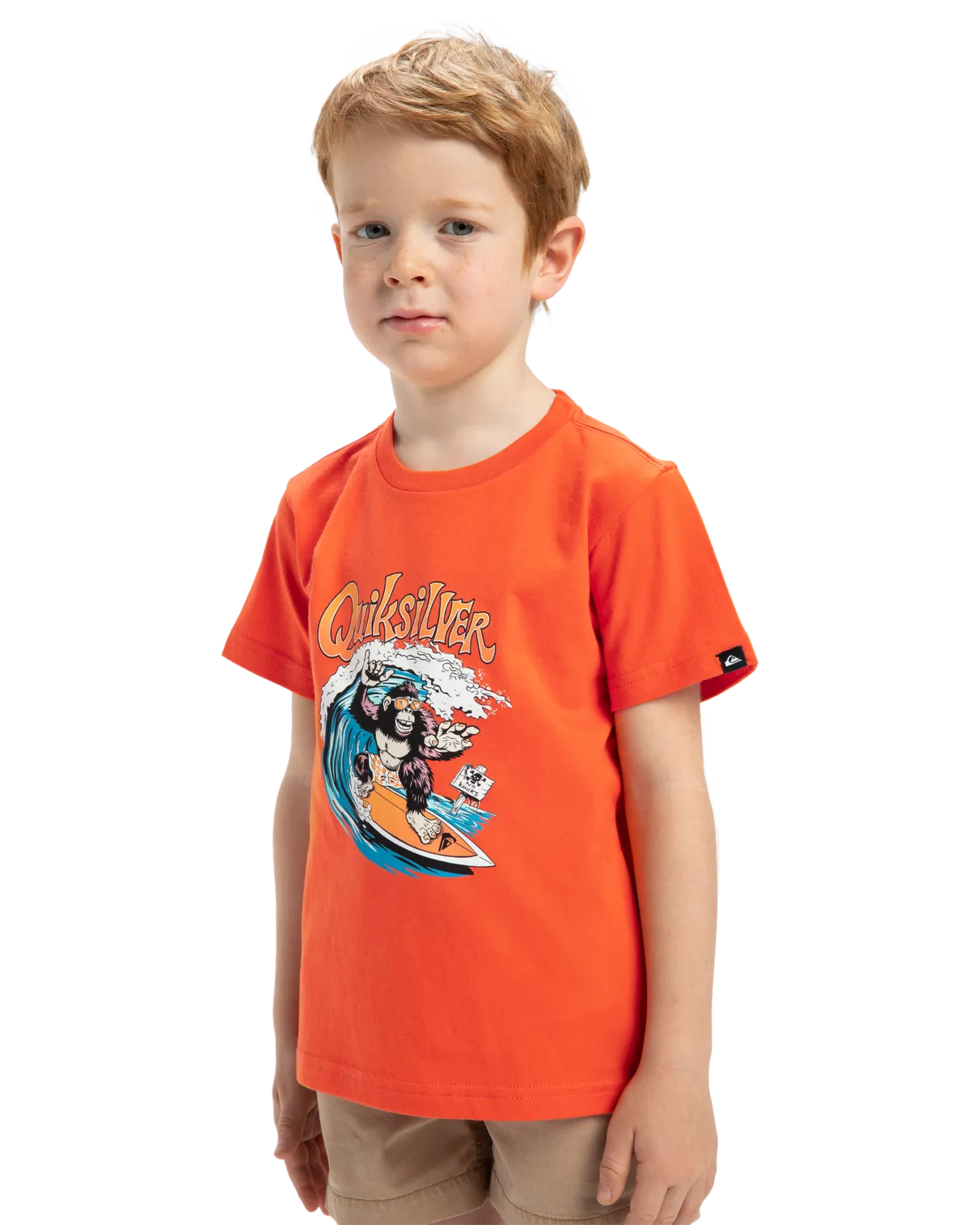 Quiksilver Clothing Boys Kong Story T-Shirt in Tigerlily