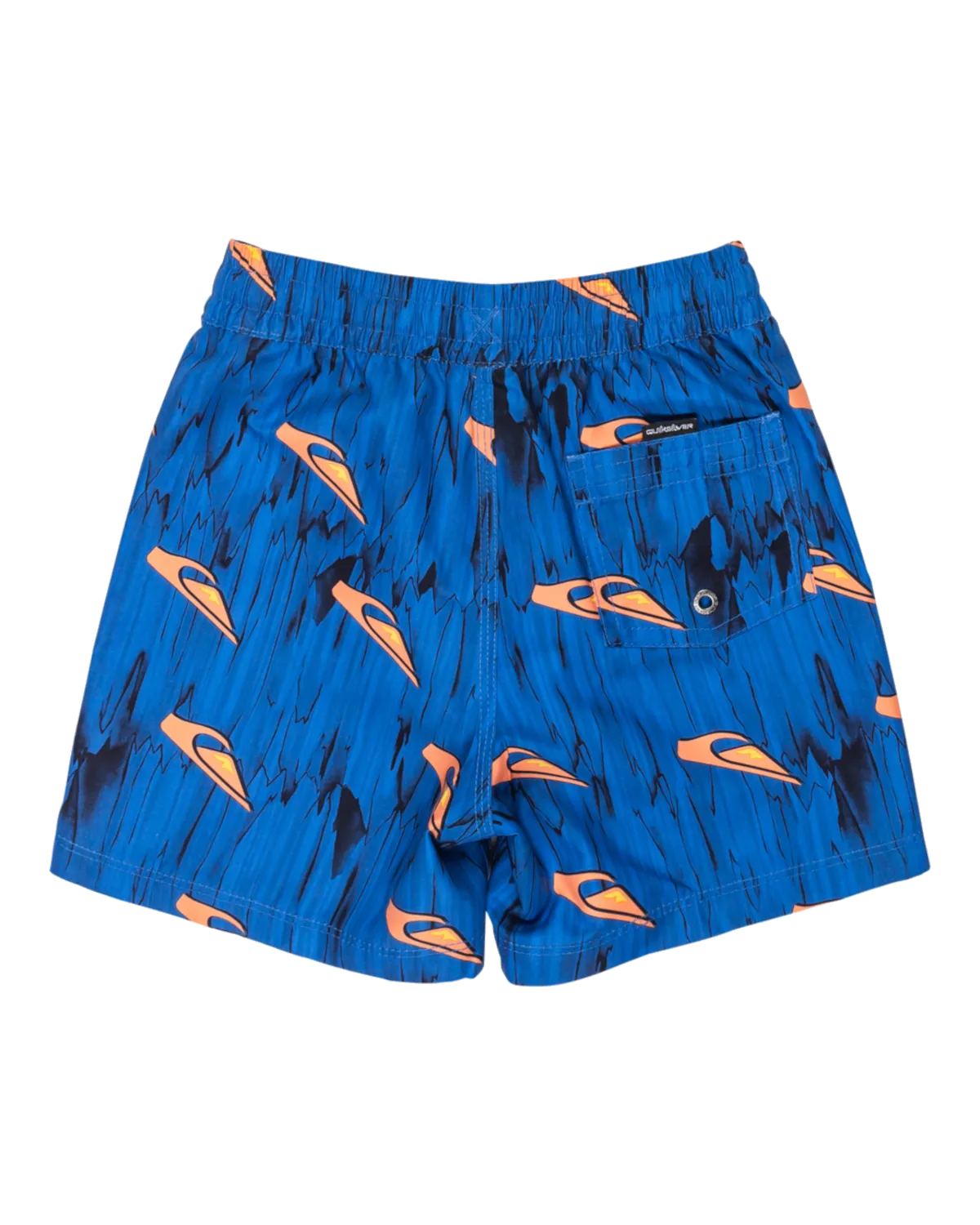 Quiksilver Clothing Boys Next Gen Volley Shorts in Estate Blue Roots