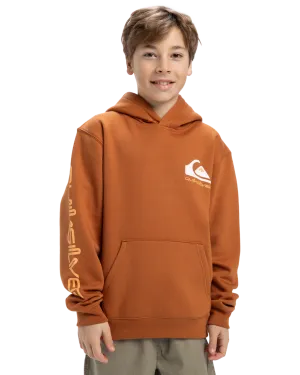 Quiksilver Clothing Boys Omni Logo Hoodie in Bran