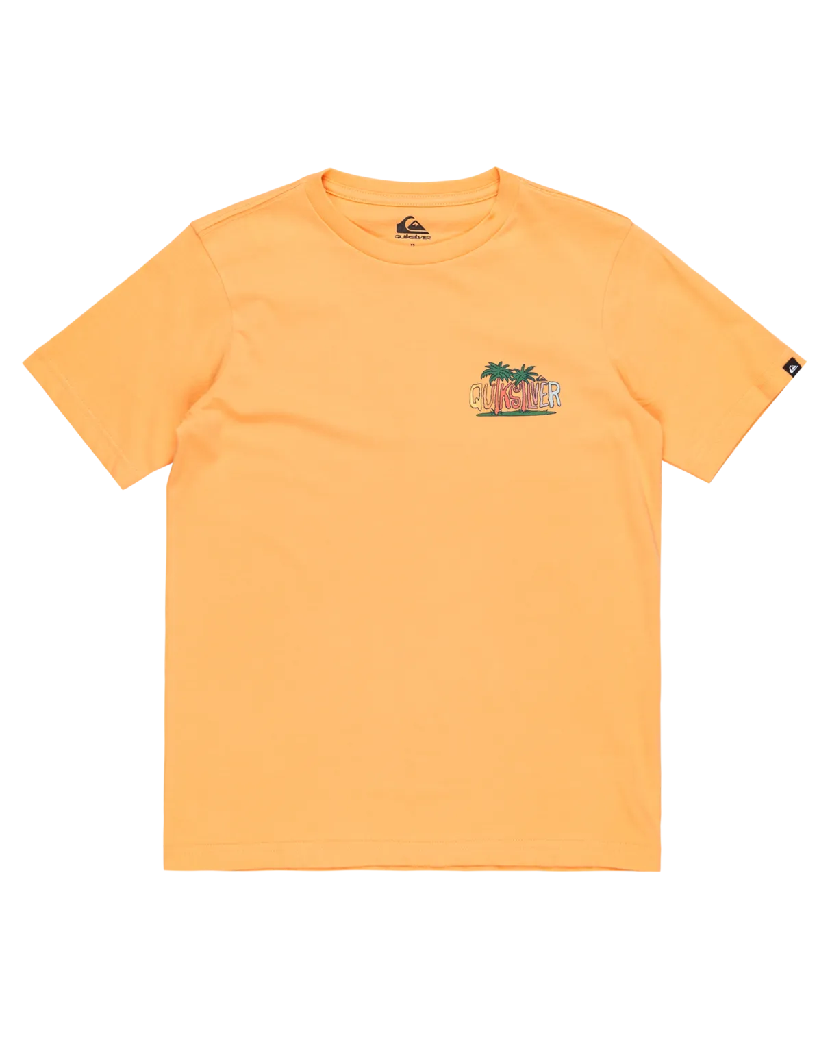 Quiksilver Clothing Boys Sunny Palms T-Shirt in Chamois