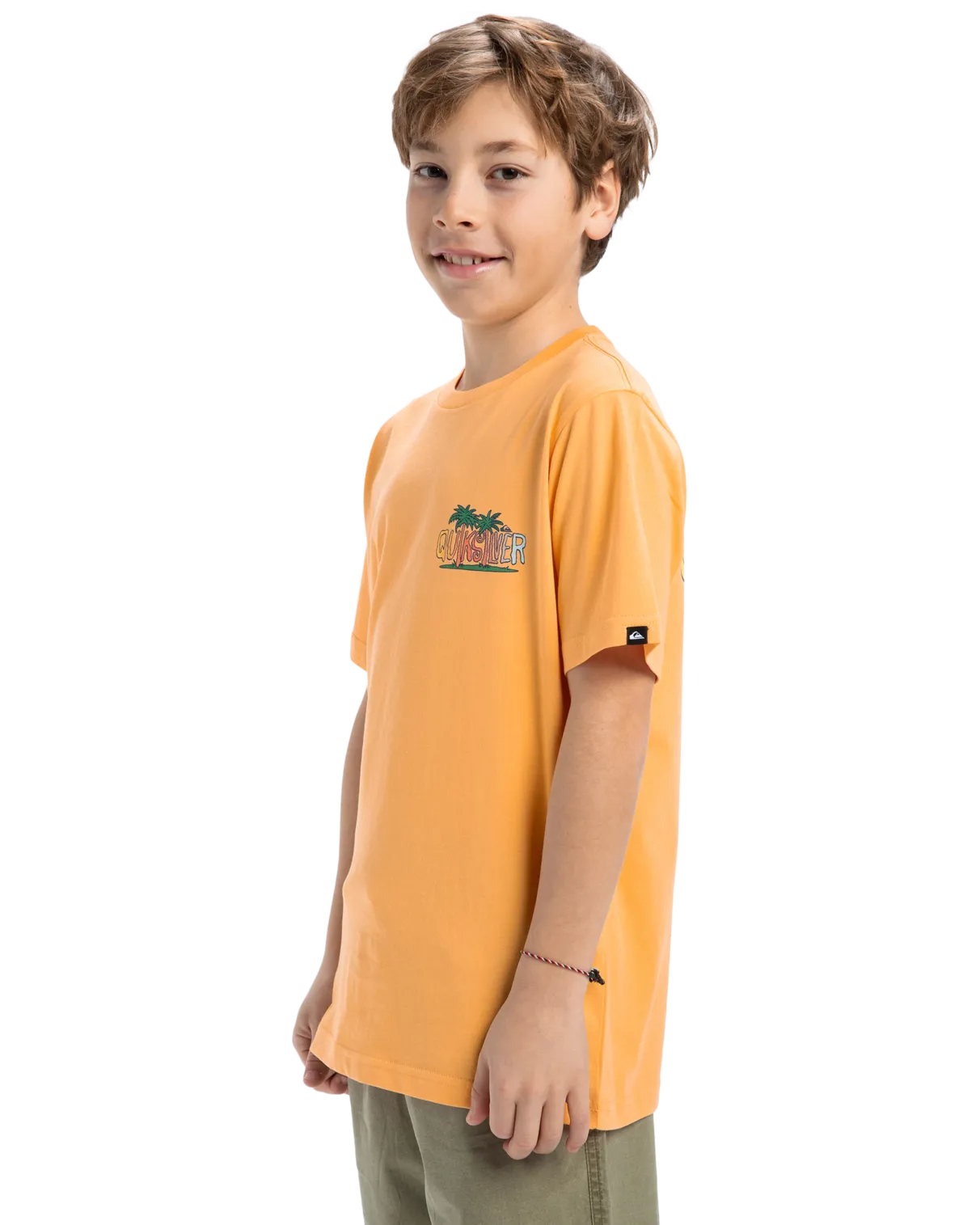 Quiksilver Clothing Boys Sunny Palms T-Shirt in Chamois