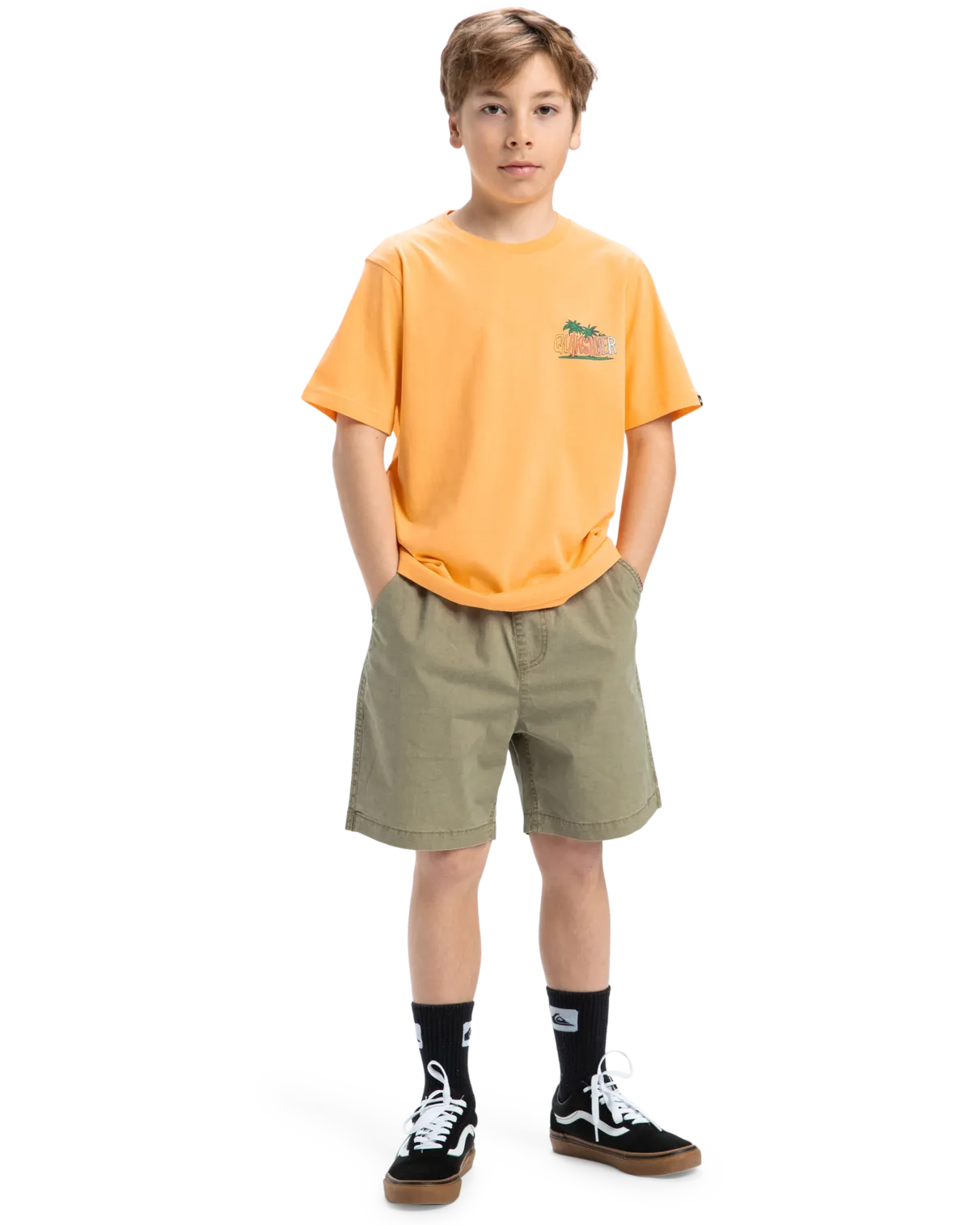 Quiksilver Clothing Boys Sunny Palms T-Shirt in Chamois