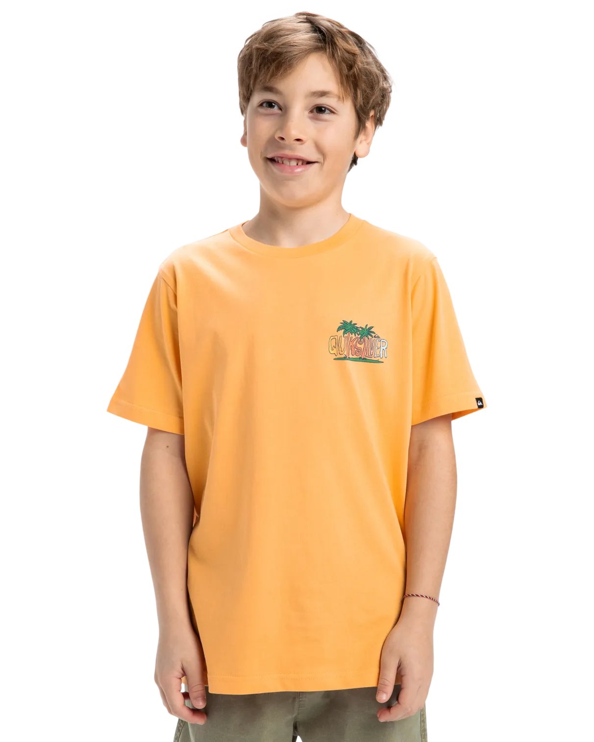 Quiksilver Clothing Boys Sunny Palms T-Shirt in Chamois