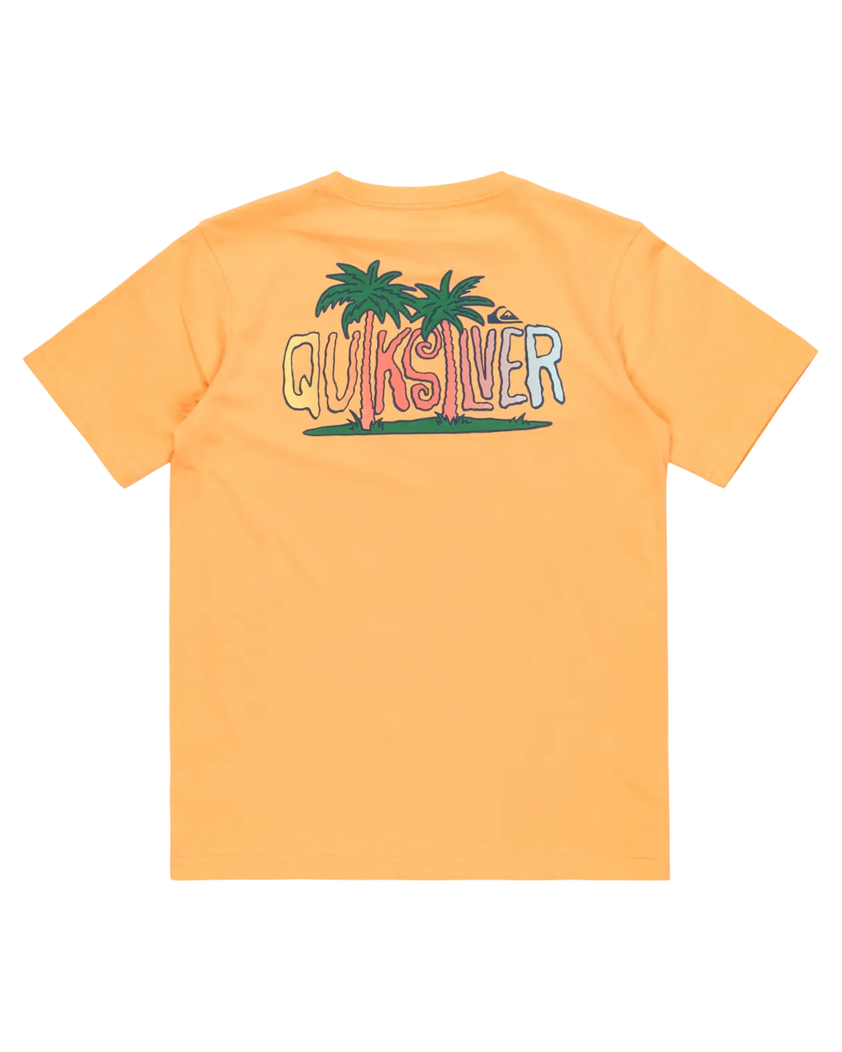Quiksilver Clothing Boys Sunny Palms T-Shirt in Chamois