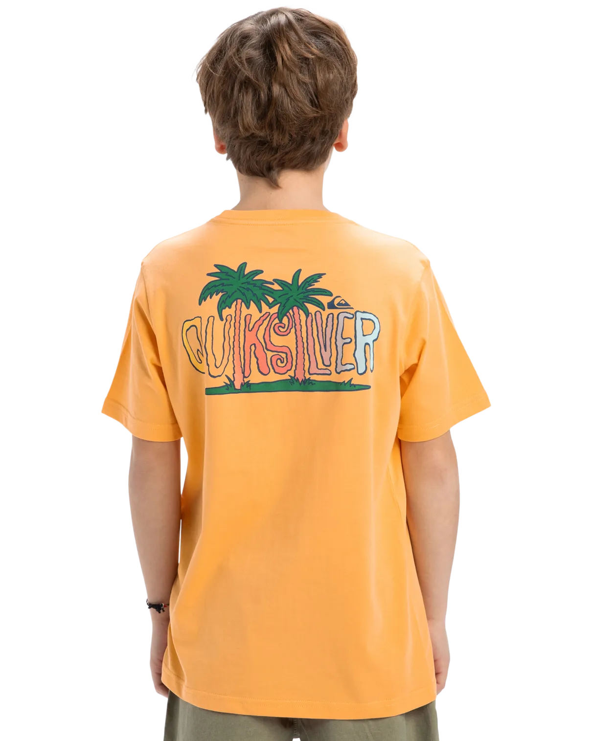 Quiksilver Clothing Boys Sunny Palms T-Shirt in Chamois