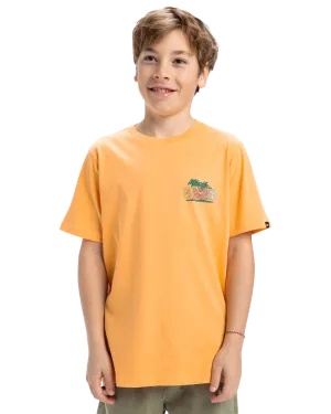 Quiksilver Clothing Boys Sunny Palms T-Shirt in Chamois