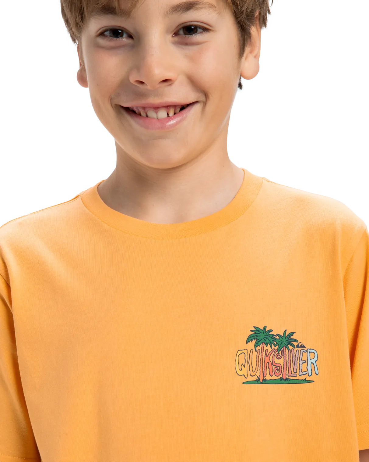 Quiksilver Clothing Boys Sunny Palms T-Shirt in Chamois