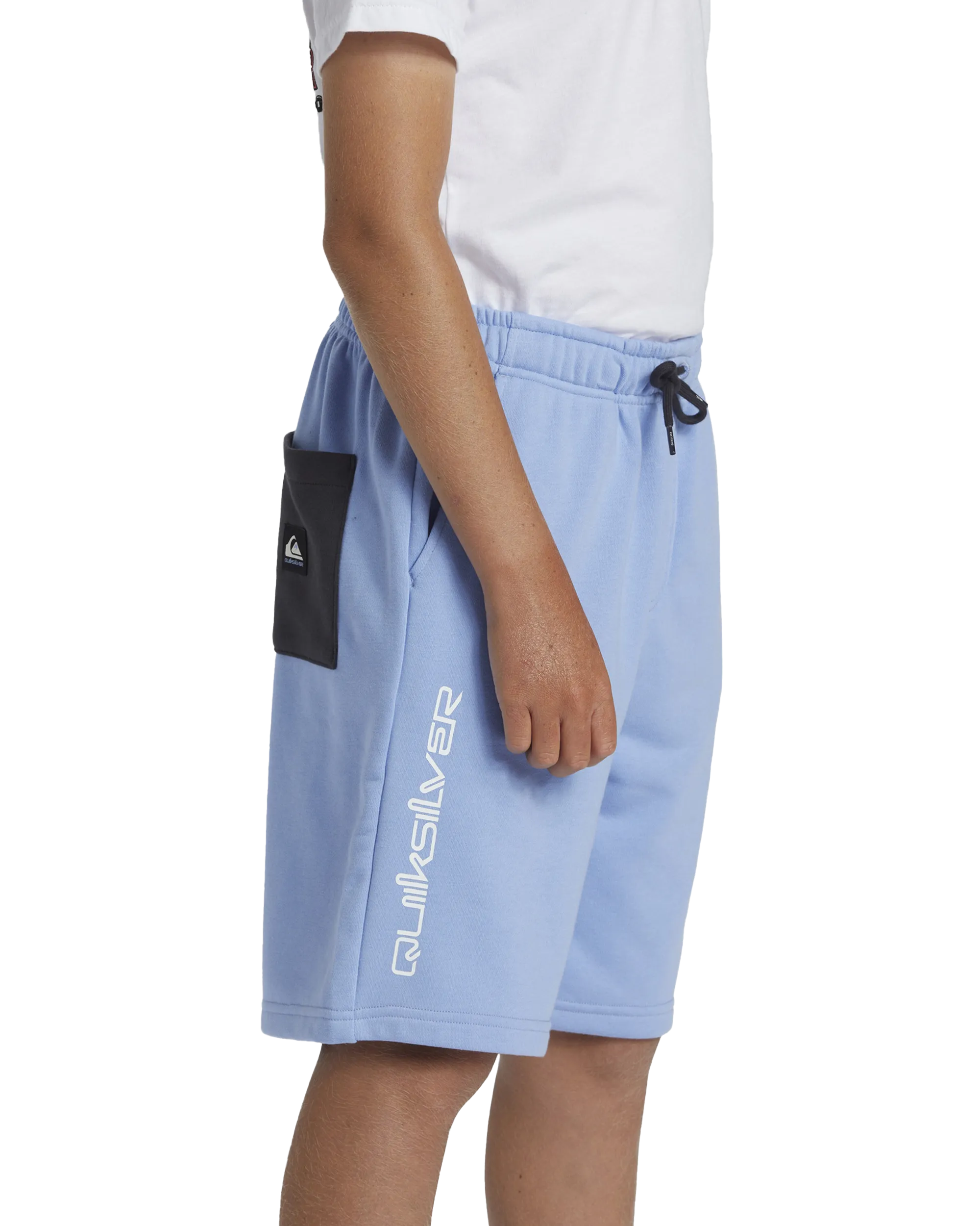 Quiksilver Clothing Boys Take Us Back Fleece Jogger Shorts in Hydrangea