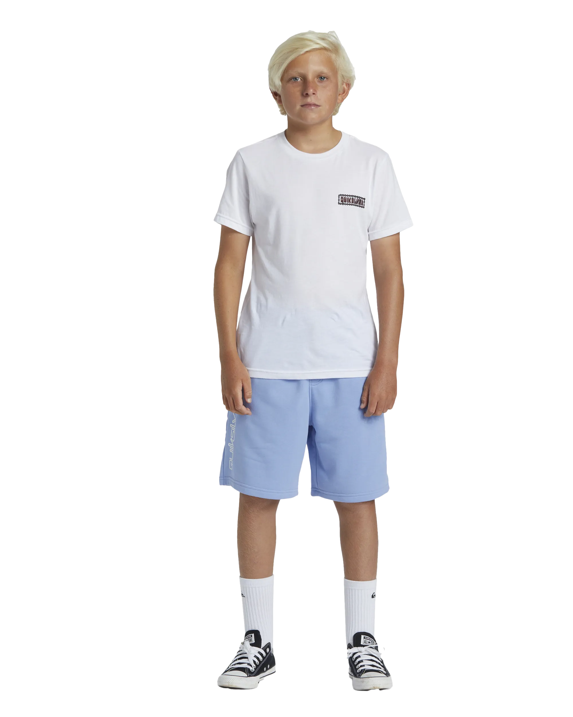 Quiksilver Clothing Boys Take Us Back Fleece Jogger Shorts in Hydrangea