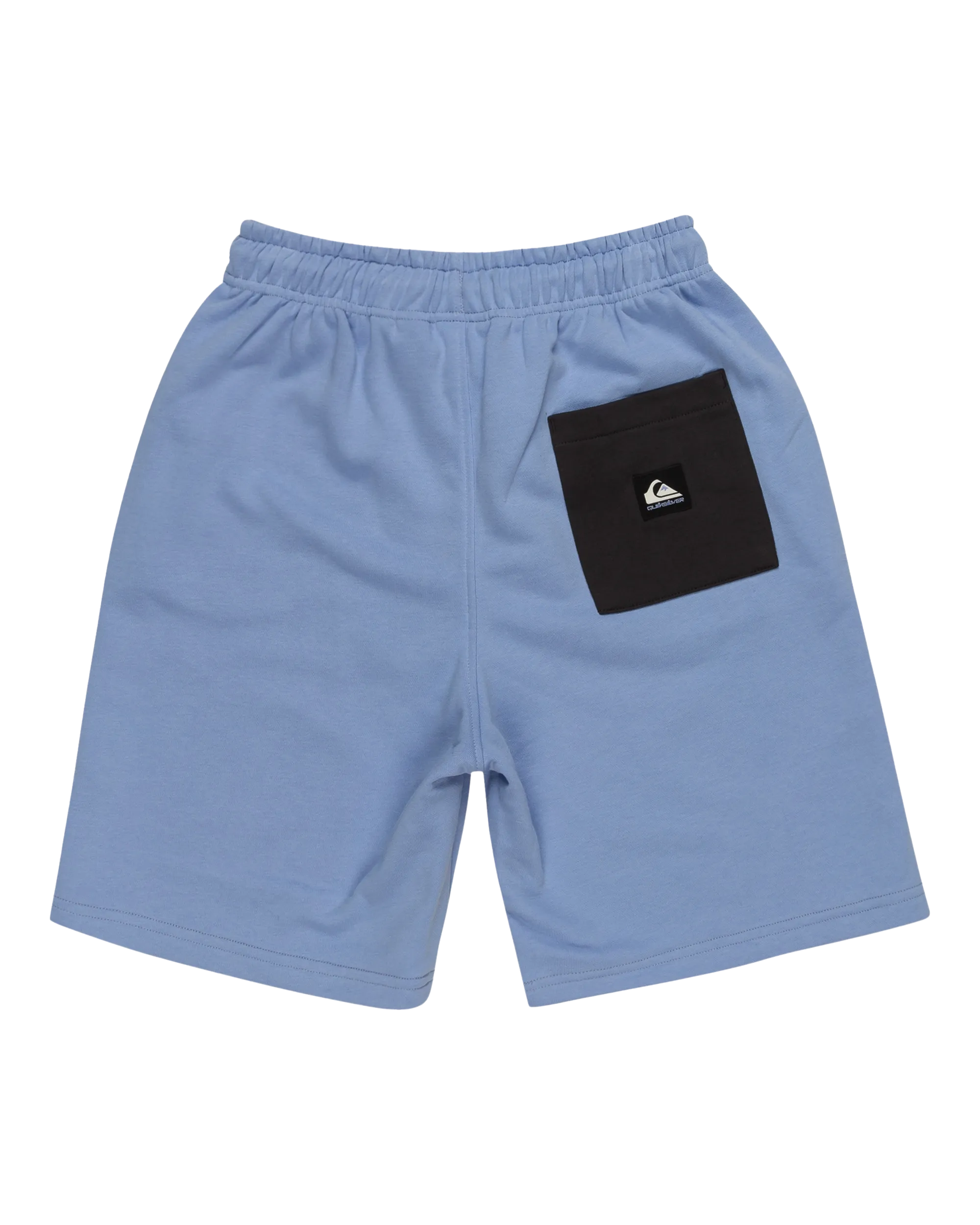 Quiksilver Clothing Boys Take Us Back Fleece Jogger Shorts in Hydrangea