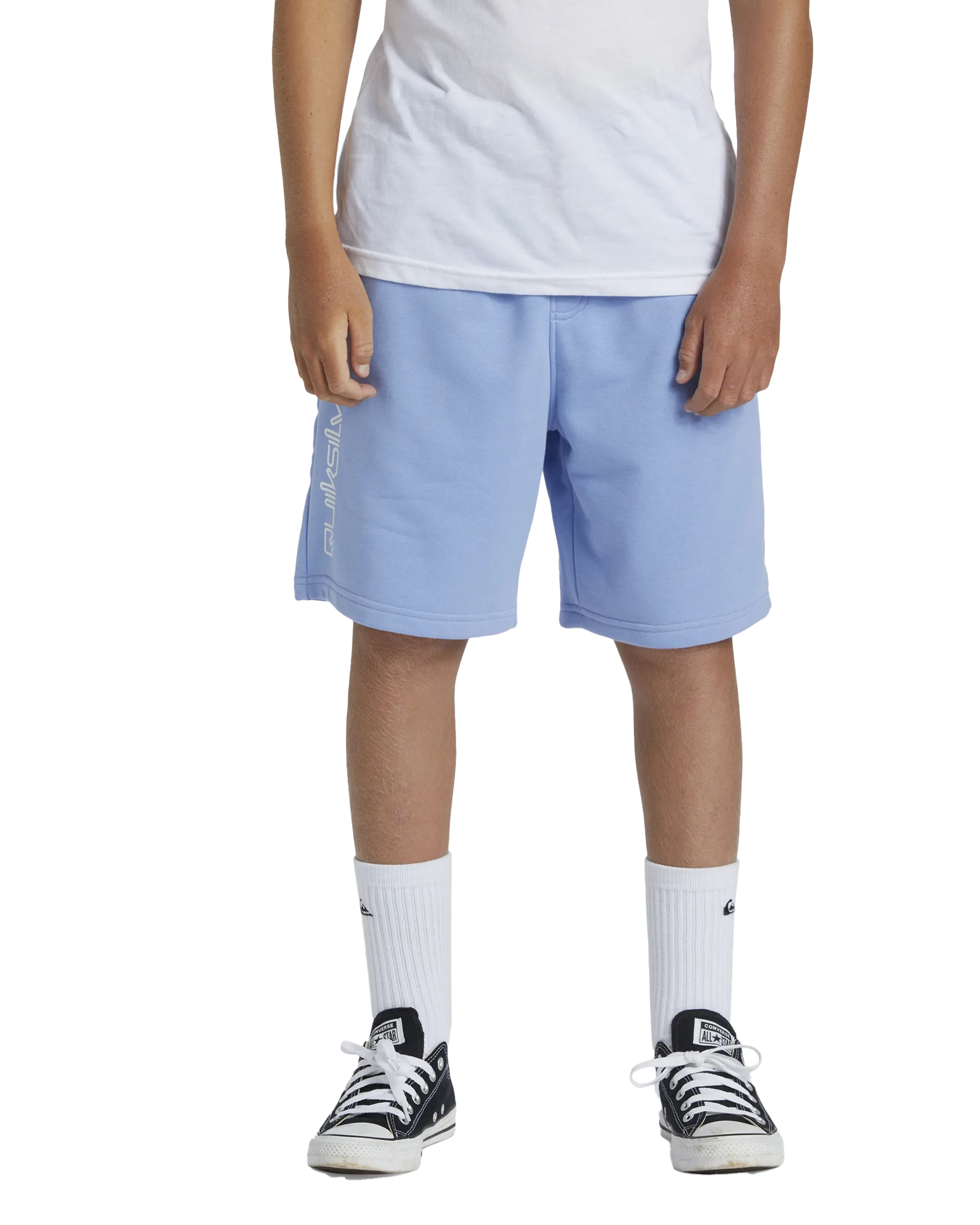 Quiksilver Clothing Boys Take Us Back Fleece Jogger Shorts in Hydrangea