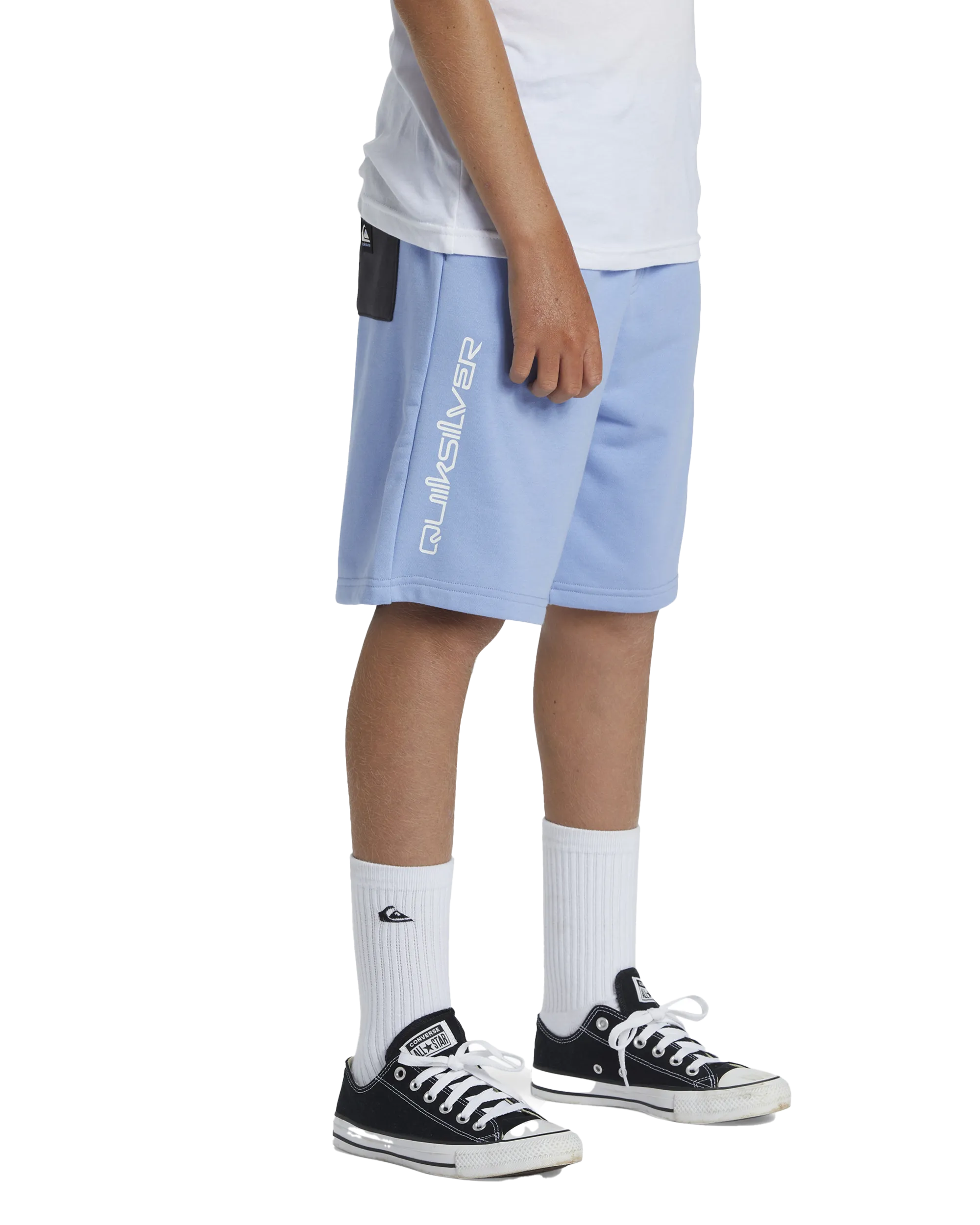 Quiksilver Clothing Boys Take Us Back Fleece Jogger Shorts in Hydrangea