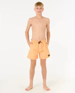 Rip Curl Clothing Boys Offset Volley Shorts in Mandarin Zest
