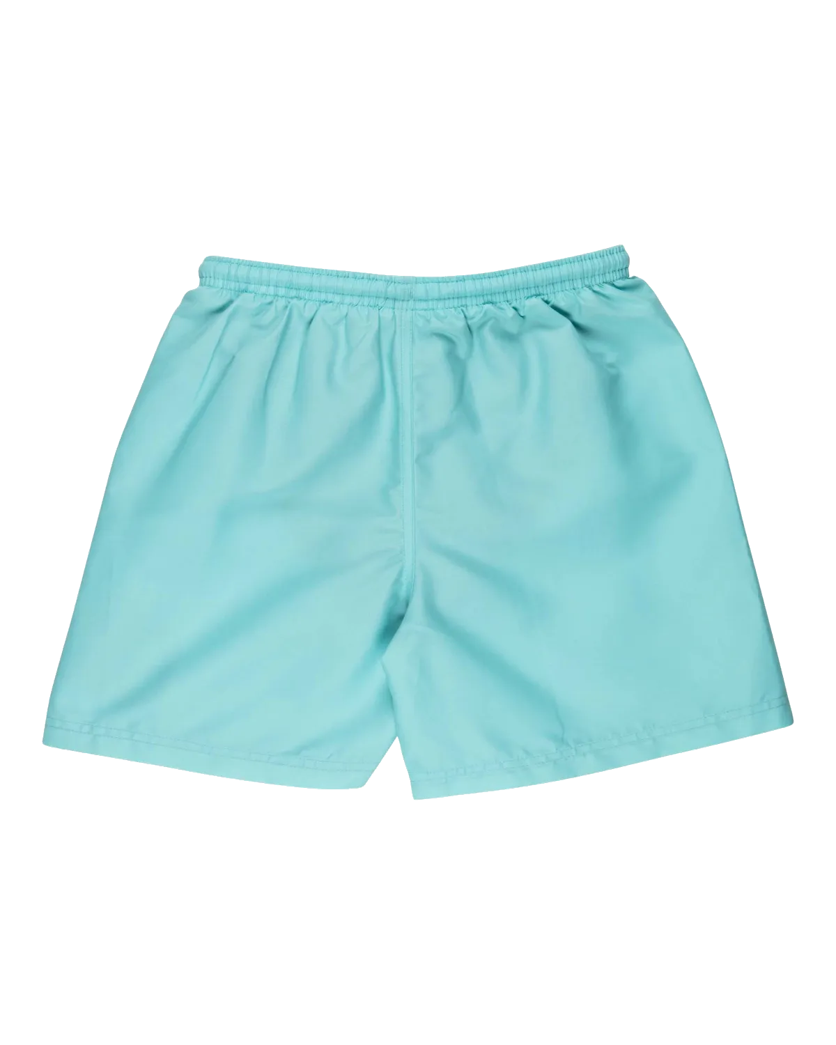 Santa Cruz Boys Classic Dot Swimshorts in Pool Blue