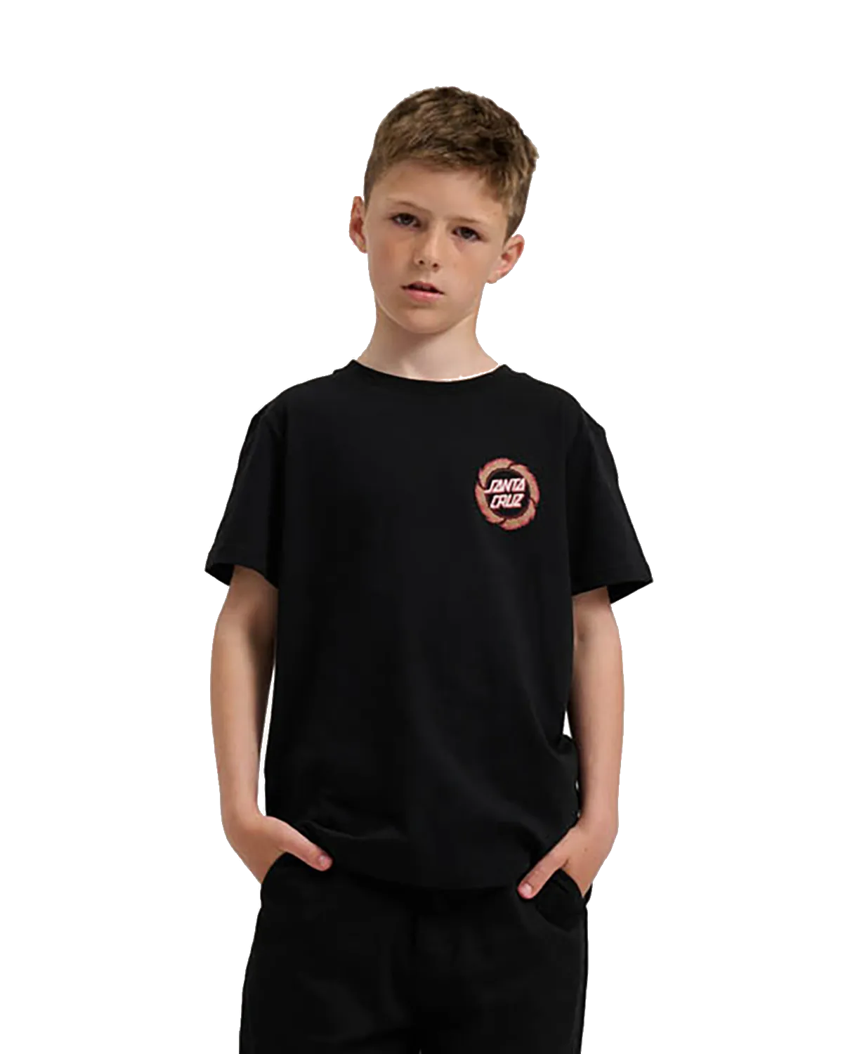 Santa Cruz Boys Flame Ringed T-Shirt in Black
