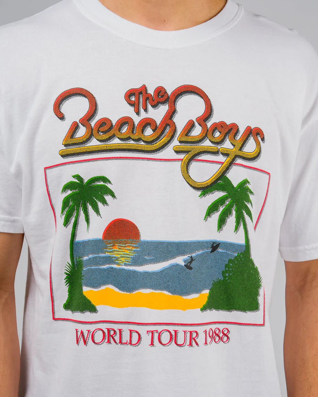 The Beach Boys x Jack's "Picturesque" S/S Tee