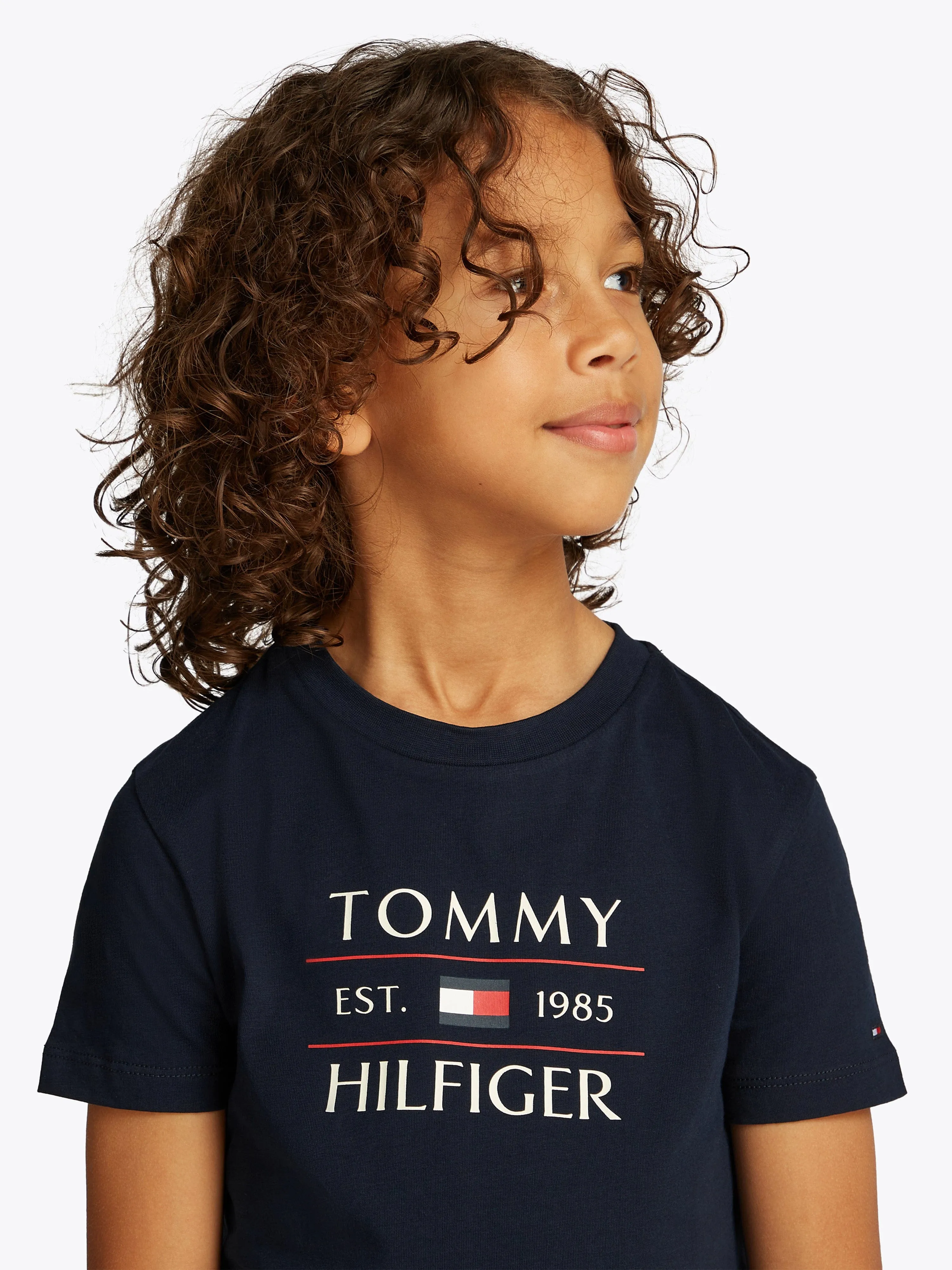 Tommy Hilfiger Boys Tommy Flag T-Shirt in Navy
